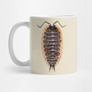 Trachelipus caucasus Isopod Mug